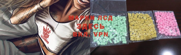 гашик Алексин