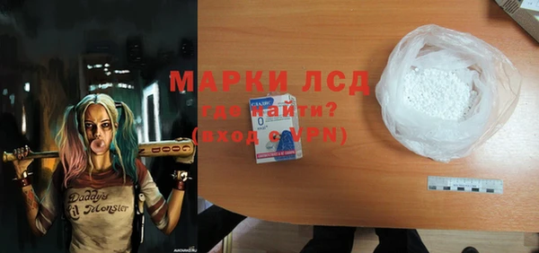 гашик Алексин
