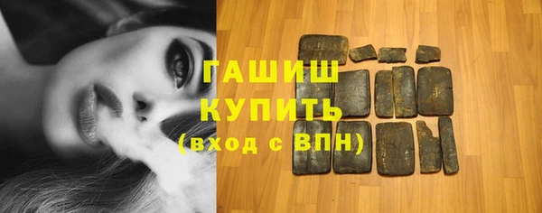 гашик Алексин