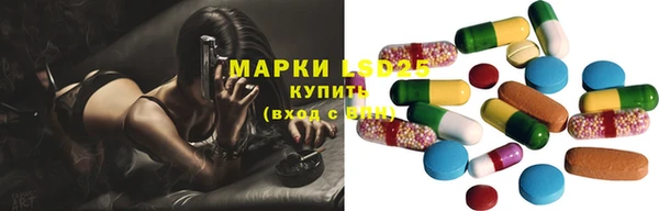 гашик Алексин