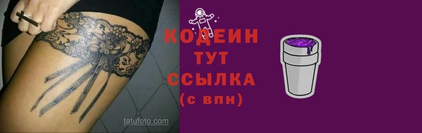 гашик Алексин