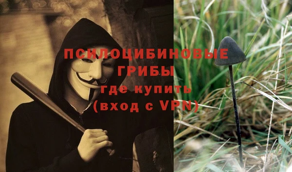 гашик Алексин