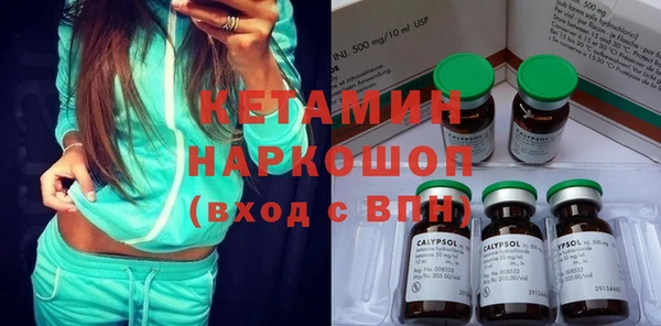 гашик Алексин