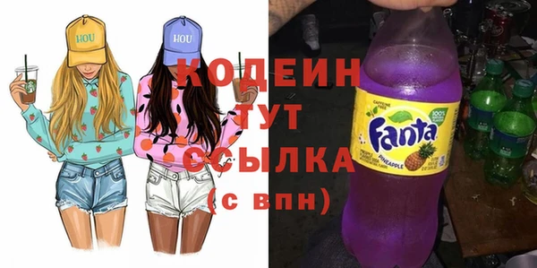 гашик Алексин