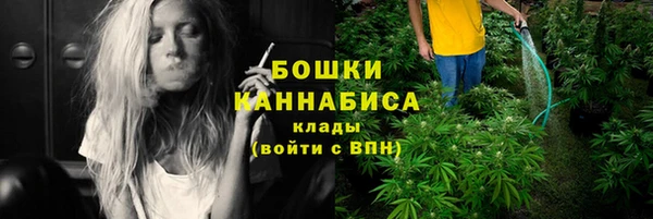 шишки Алексеевка