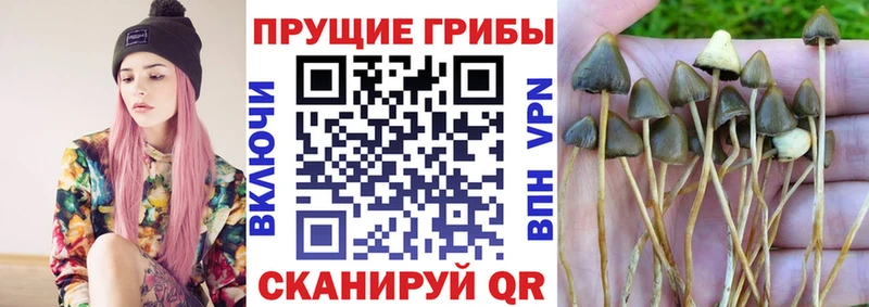 Галлюциногенные грибы мухоморы  Троицк 